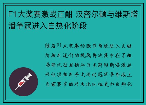 F1大奖赛激战正酣 汉密尔顿与维斯塔潘争冠进入白热化阶段